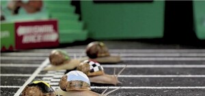 Проходят 7 партий: обнародованы результаты трех экзит-поллов