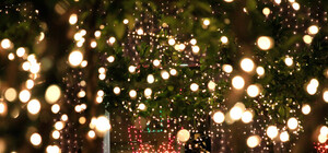 Чище, ярче, позитивней: шесть европейских идей для зимнего Харькова