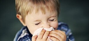 Сидим дома: В городе закрылись 6 школ