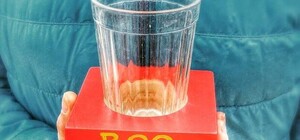 Как это было: Фестиваль паники и истерики 