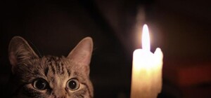 Які вулиці у Львові, Винниках та Рудному залишаться без світла