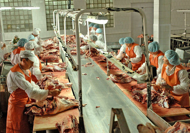 Новость - События - На Пирятинском мясокомбинате обнаружены зараженные свиньи