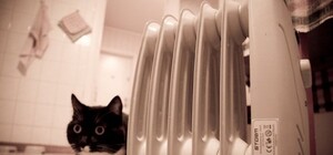 У цьому сезоні тарифи на тепло у Львові будуть дорожчими втричі