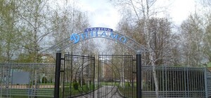 На стадионе 