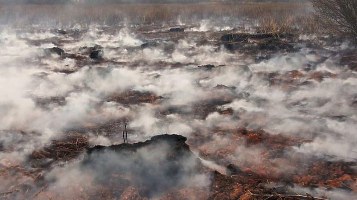 Новость - События - Где в Полтавской области горят торфяники. Список