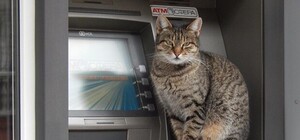 Львів'янину на замітку: як працюватимуть банки та банкомати під час свят (графік)