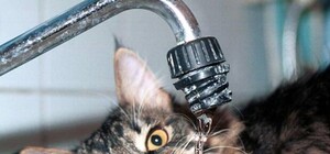 Она вернулась: На Бабурку возвращается вода (Обновлено)