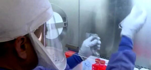 Карантинные зоны в аэропорту, предостережения СЭС: чем опасен вирус Зика для жителей Днепра