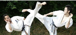 Сьогодні у Львові покажуть  японські бойові мистецтва: де саме (відео)