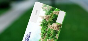 Получи ответ: можно ли бесплатно ездить в метро во время переоформления 