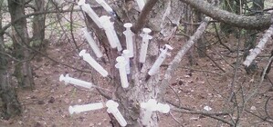 Запорожцев повергло в шок дерево из использованных шприцов