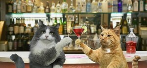 Куда сходить в Полтаве на этих выходных