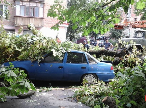 Новость - События - Фотофакт: в центре Полтавы дерево раздавило автомобиль