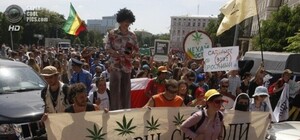 У Львові готуються до маршу за легалізацію коноплі: як реагує місто