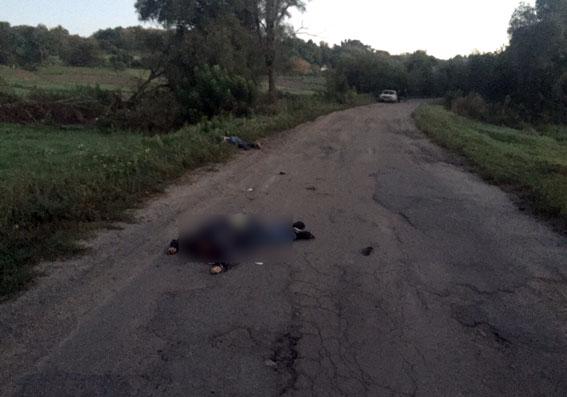 Новость - События - На Полтавщине задержали водителя, который насмерть сбил троих парней