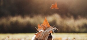 Шапка или зонт: какая погода ждет киевлян на выходных