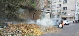 Не надо так: в Днепре дворники сжигают листья