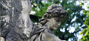 Начувайтесь вандали: на Личаківському цвинтарі встановлять додаткове відеоспостереження