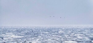 Опасные игры: на Ланжероне ребенок провалился под лед