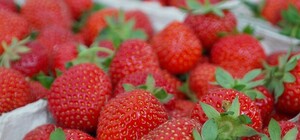 Не самая вкусная цена: узнай, сколько стоит клубника в Днепре