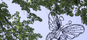 Главную улицу Одессы заполонили бабочки