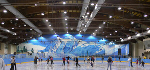 Денег - нет: ледовую арену в Запорожье строить не будут
