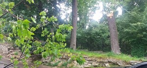 Повалені дерева, знеструмлені вулиці, пошкоджені авто: у Львові бушувала гроза