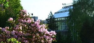 Вхід вільний: Львівський Ботанічний сад запрошує на День відкритих дверей