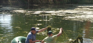 Снова чисто: на Победе-6 почистили заросшее водорослями озеро
