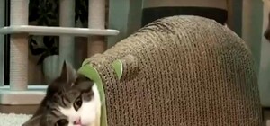 Все включено: в КГГА хотят добавить в коммуналку страхование домов