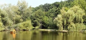 Цифра дня: сколько потратят на реконструкцию Полтавского дендропарка