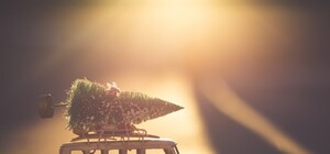 Christmas по-львівськи: містян і туристів кличуть на джаз-коляду