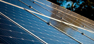 И светит, и карман греет: жители Киевщины придумали новый способ заработать