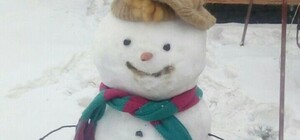 Репортаж из соцсетей: запорожцы устроили парад снеговиков