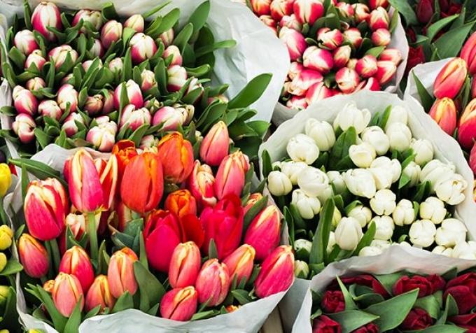 Новость - События - Оставь на букет: почем в Полтаве продают цветы к 8 марта