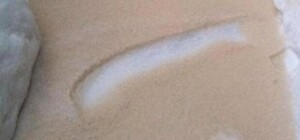 Чудо природы: жителей Одесской области напугал 