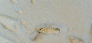 Весна аномалий: странный оранжевый снег выпал и в Одессе