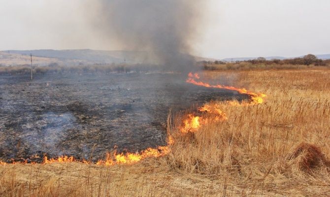 Новость - События - Смотри, где горит: на Полтавщине тушат пожары на открытой территории
