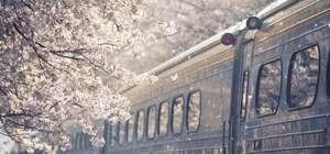 Куда довезут: из Харькова назначены дополнительные электрички