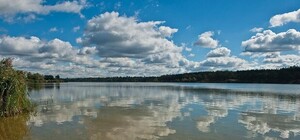 Погуляешь: в Киеве от мусора очистят три озера