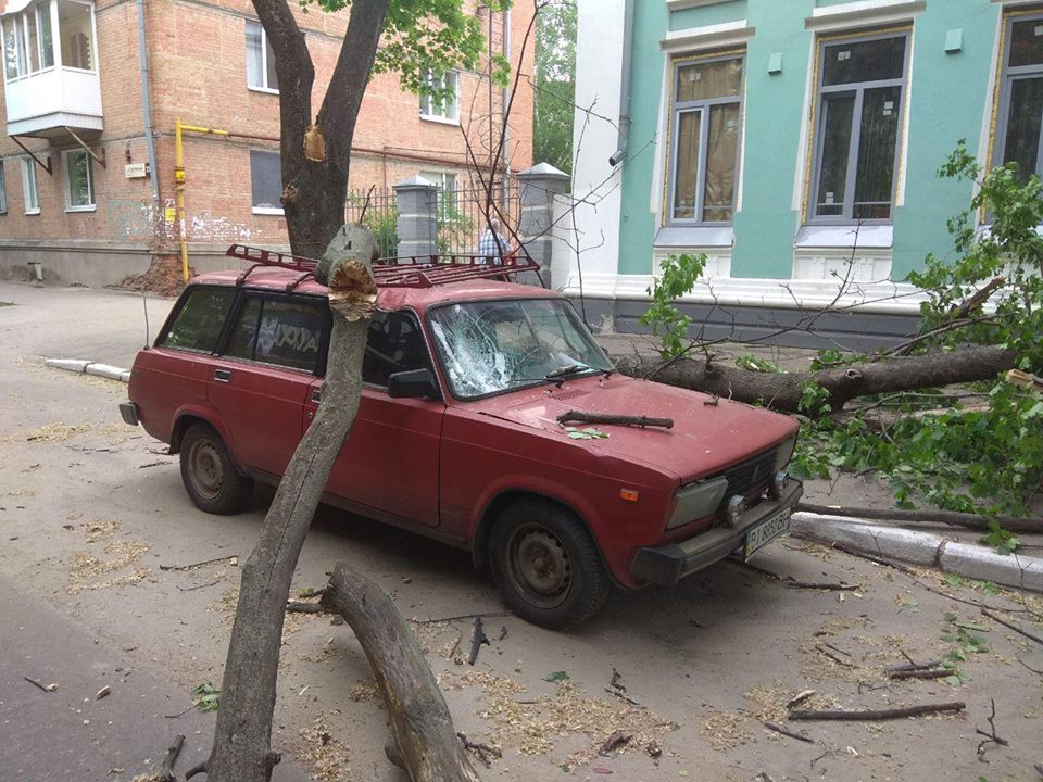 Новость - События - Привалило старушку: в Полтаве на автомобиль упало дерево