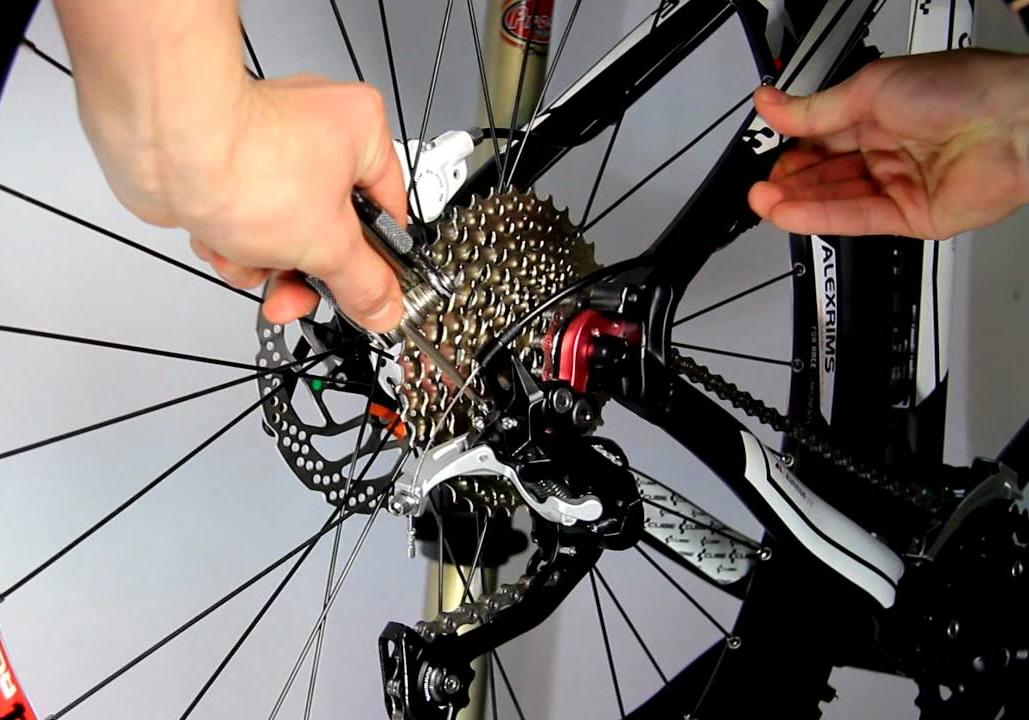 Новость - События - Приходи, научат: в Полтаве проведут бесплатный мастер-класс по ремонту велосипедов
