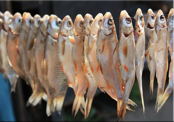 Новость - События - Вяленая рыба: в Кременчуге еще один человек заболел ботулизмом