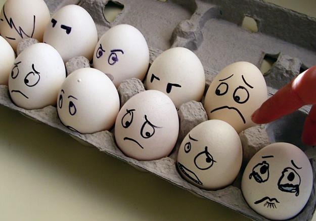Новость - События - Взяли за яйца: в Кременчуге судили мужчину, который хотел по-хитрому обворовать птицефабрику