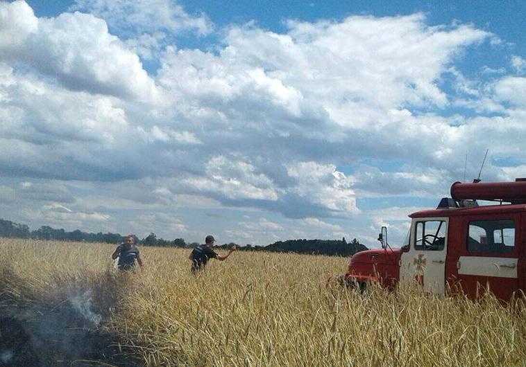Новость - События - Пылал урожай: на Полтавщине сгорело 5 гектаров зерна