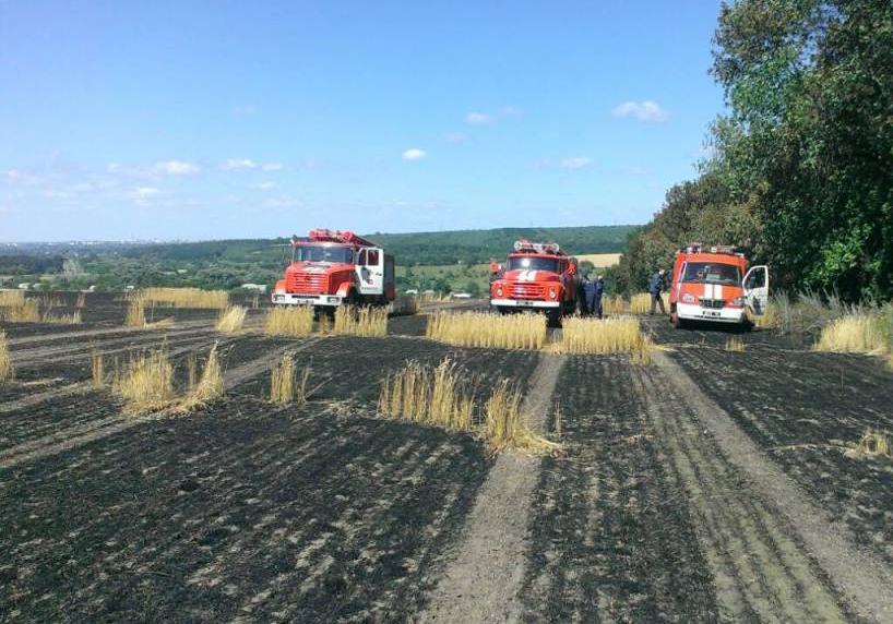 Новость - События - На корню: на Полтавщине загорелось поле с пшеницей, сгорело больше 40 гектаров