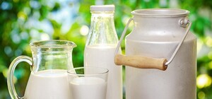 Знай и ты: в Крыму придумали способ снижения цен на молоко