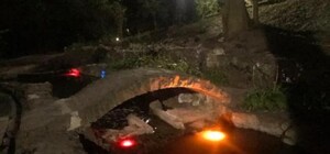 З нічною підсвіткою: у Львові відновили каскад струмків Стрийського парку