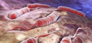 Лучше не купаться: в Запорожской области в реке обнаружили возбудителя холеры