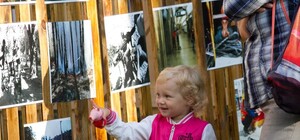 Присылай фото: в Харькове проходит конкурс 